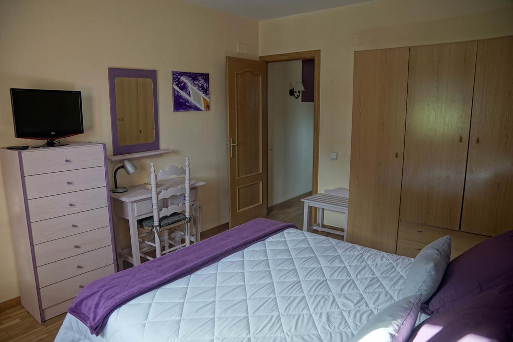 Apartaments El Ribal Valencia D'Aneu Extérieur photo