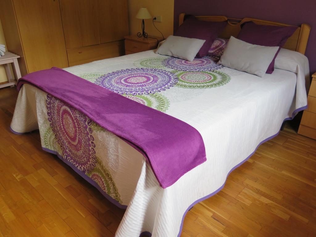 Apartaments El Ribal Valencia D'Aneu Extérieur photo